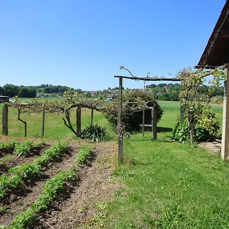 Soncni Gaj * Ptuj